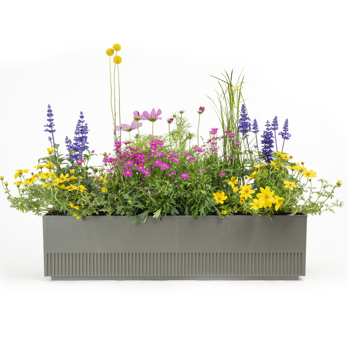 Balkonkasten Set Flower Power