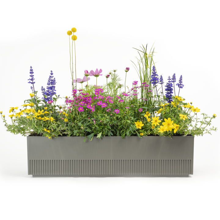 Balkonkasten Set Flower Power
