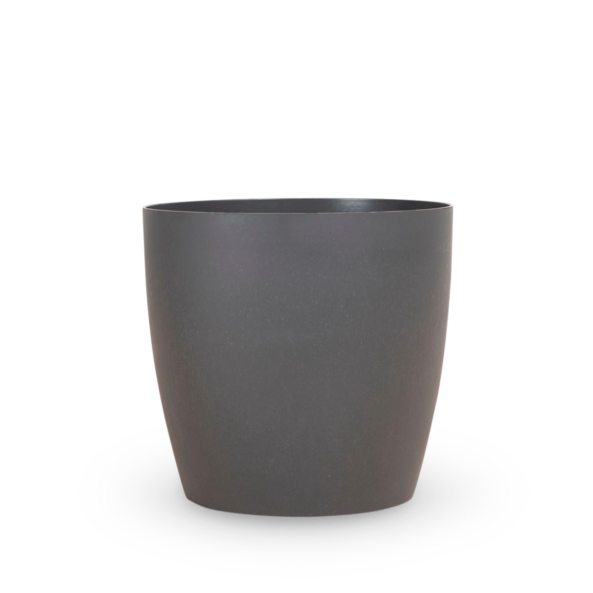 QA_Product (Houseplants) - Cross-Selling - Plants