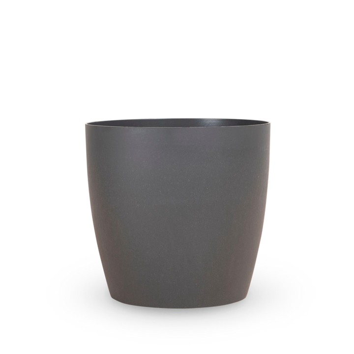 QA_Product (Houseplants) - Cross-Selling - Plants