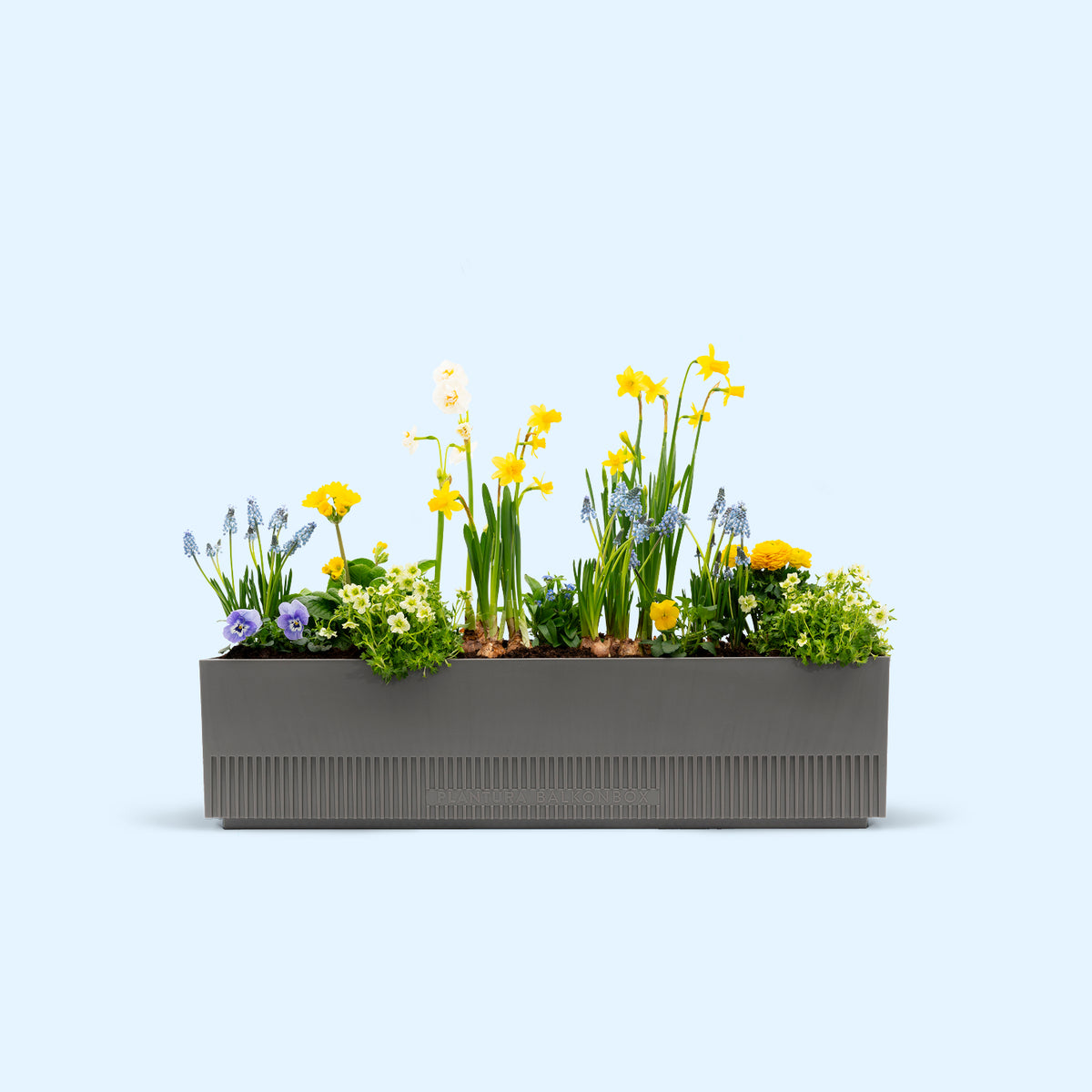 test - Balkonbox