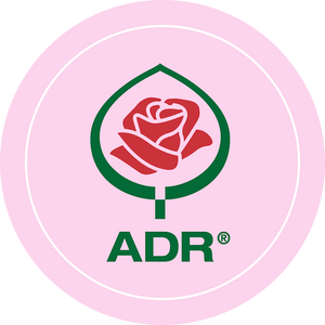 ADR-Rose