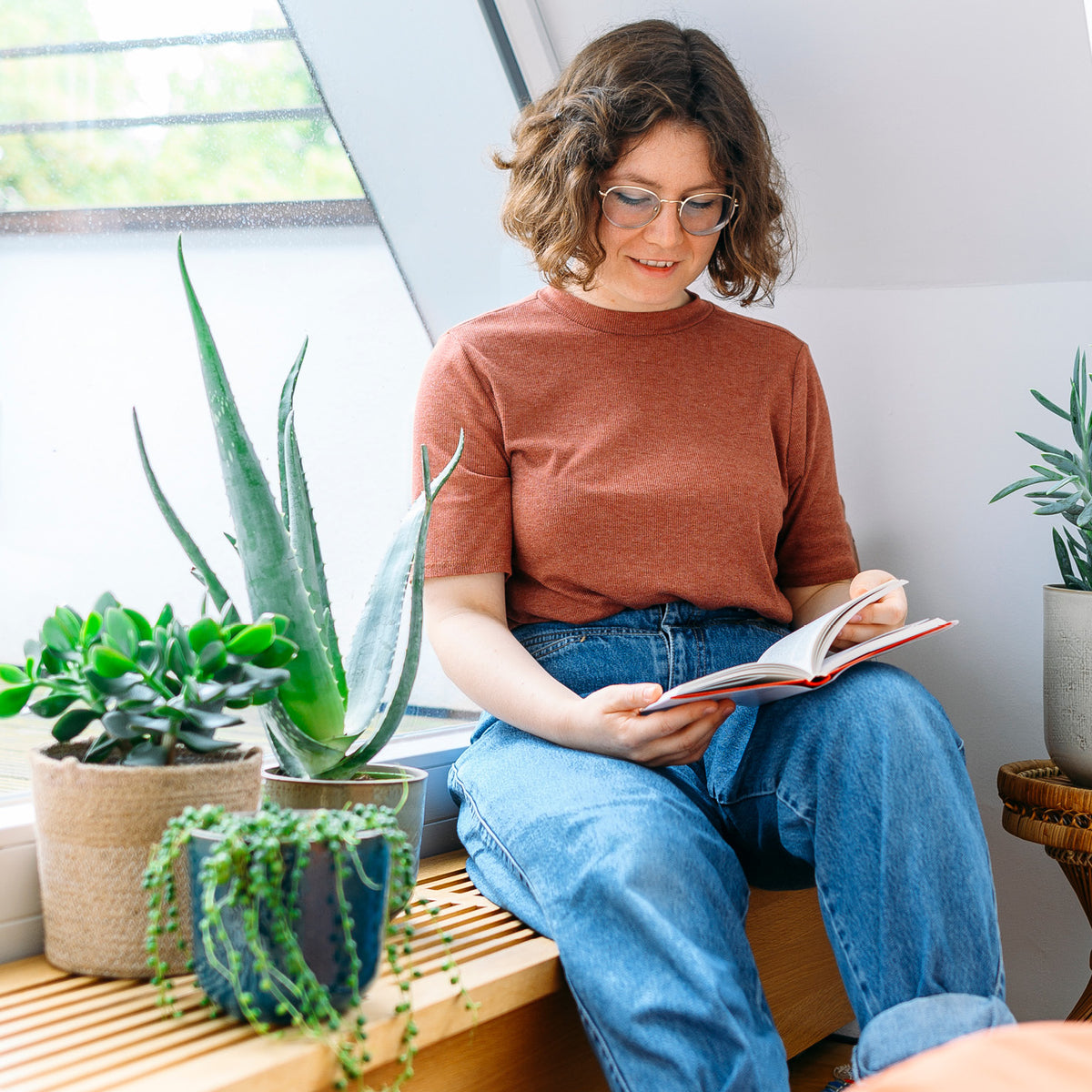 Aloe vera im Wohnzimmer mit Frau