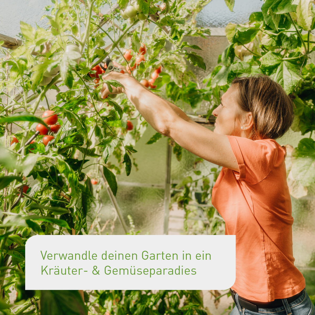 Anbau-Set für einen Nutzpflanzen-Garten