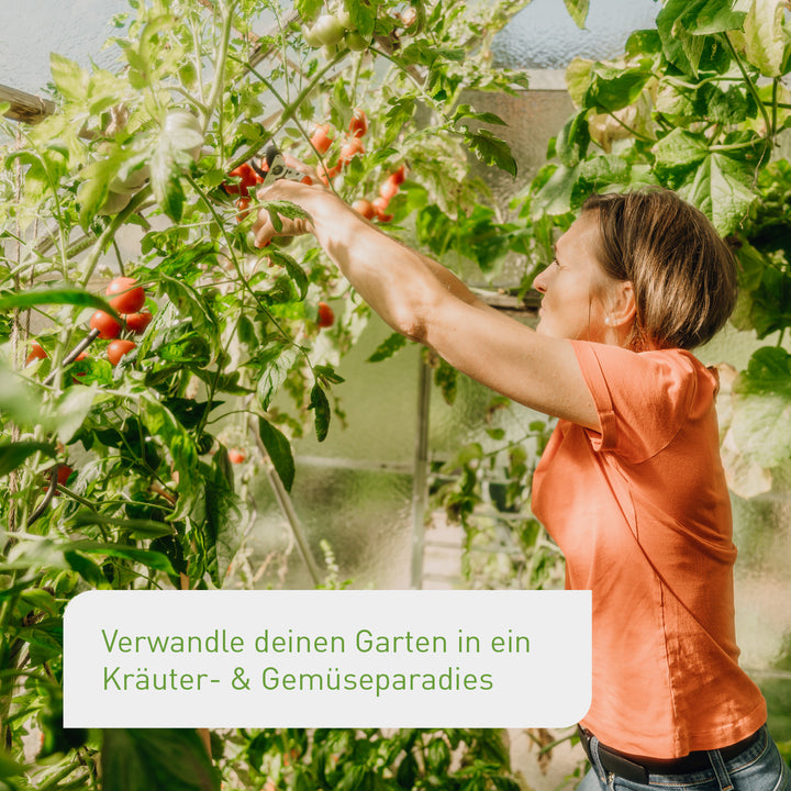 Anbau-Set für einen Nutzpflanzen-Garten
