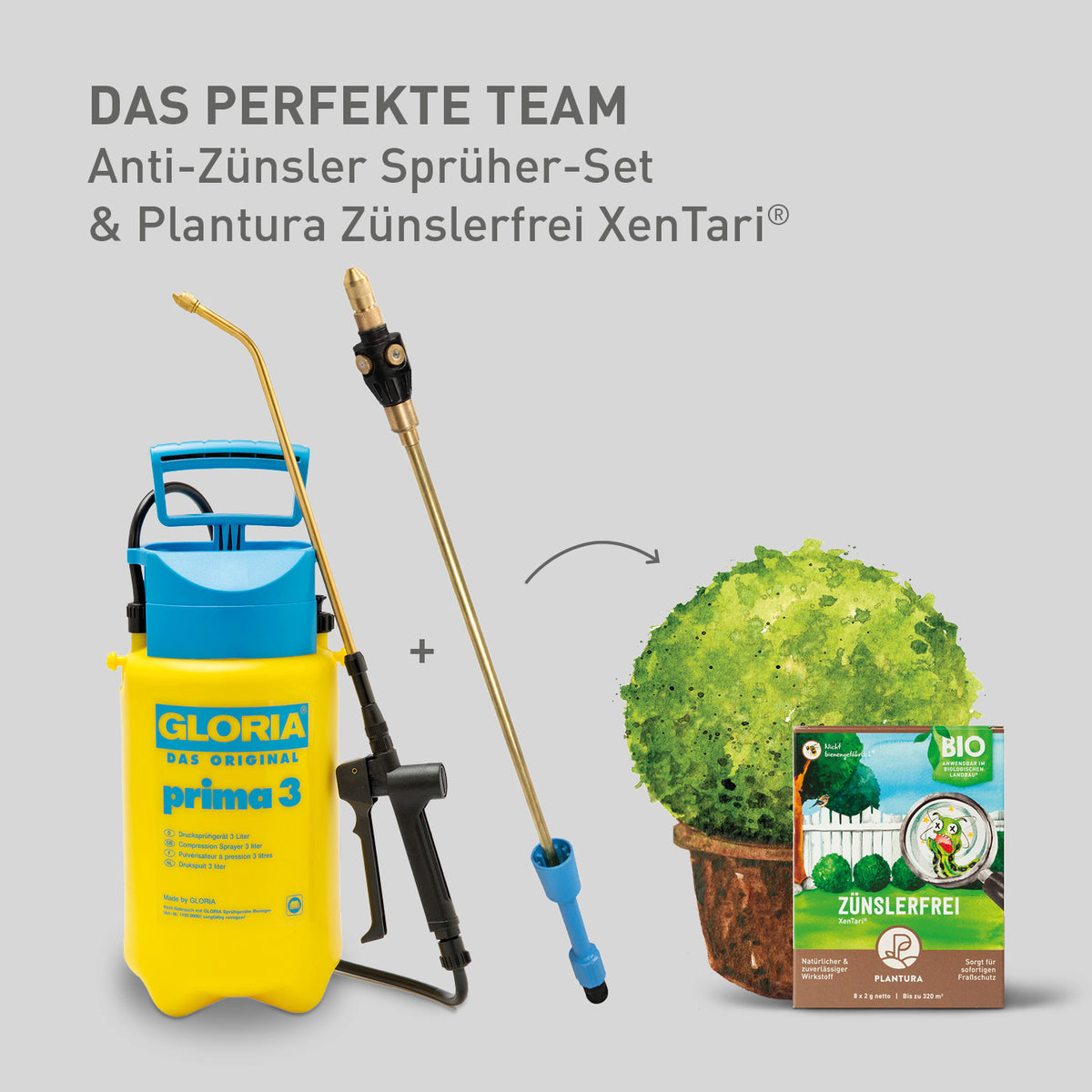 Anti-Zünsler Sprüher-Set Gloria und Plantura Zünslerfrei XenTari®