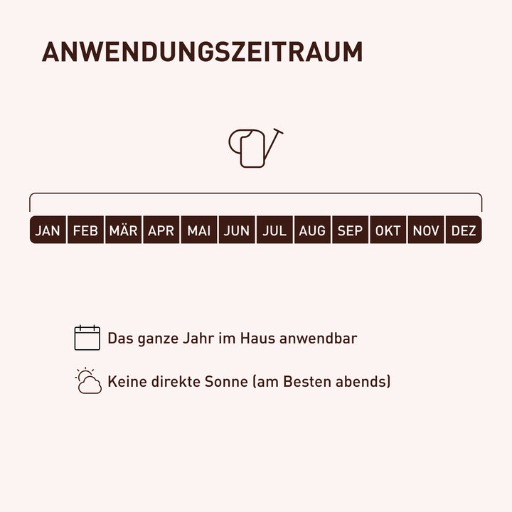 Anwendungszeit von Nematoden gegen Thripse