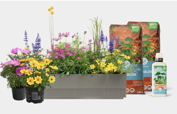 Balkonbox ‘Happy bee’