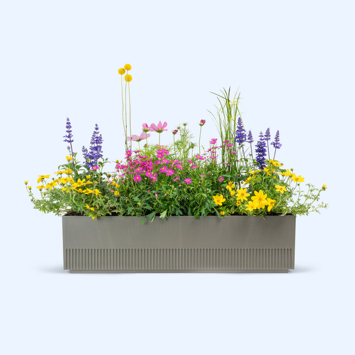 Balkonbox Spring Breeze