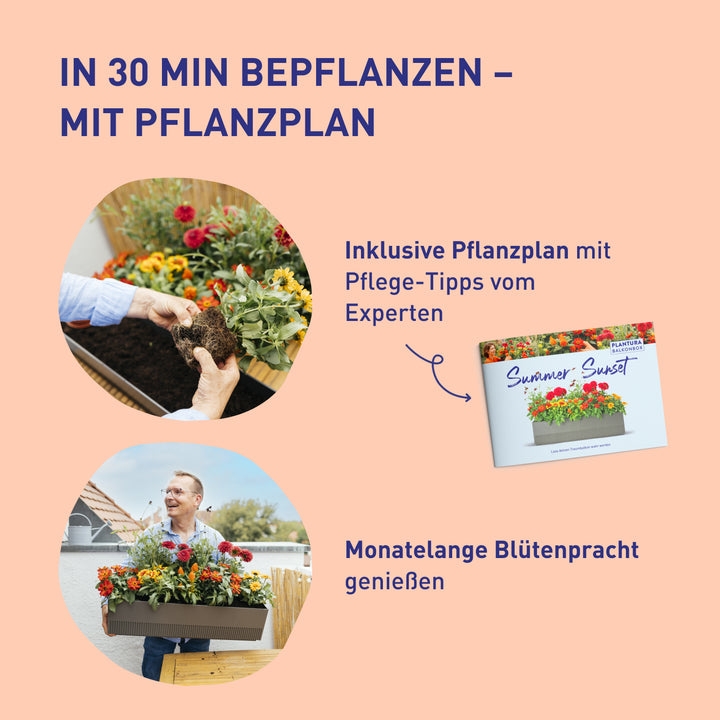 Balkonbox Floral Rainbow zum Selbstbepflanzen
