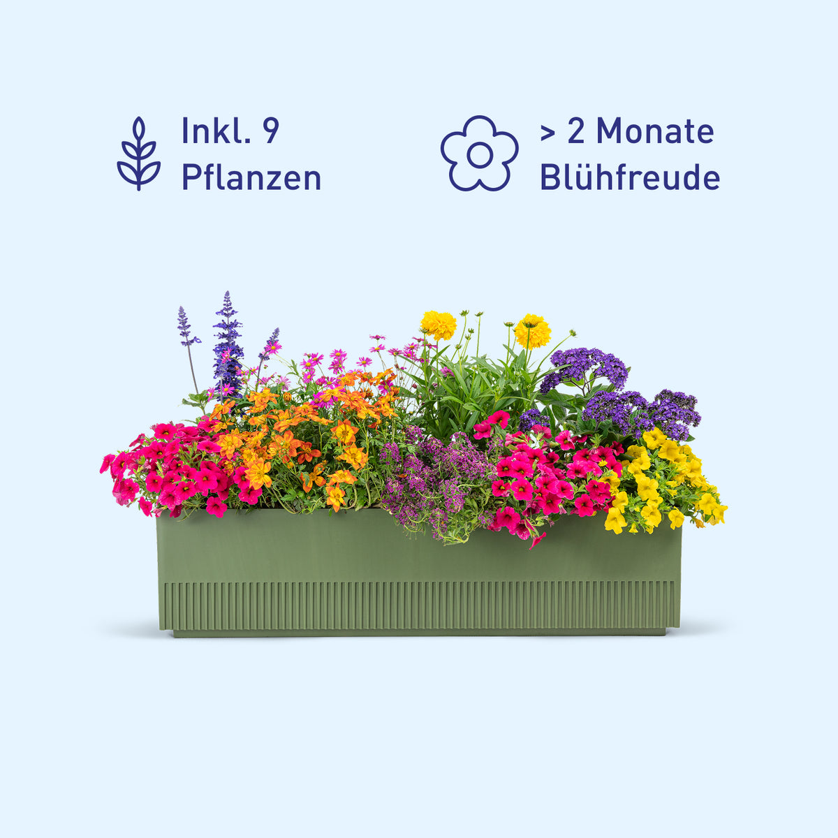 Balkonbox Flower Power