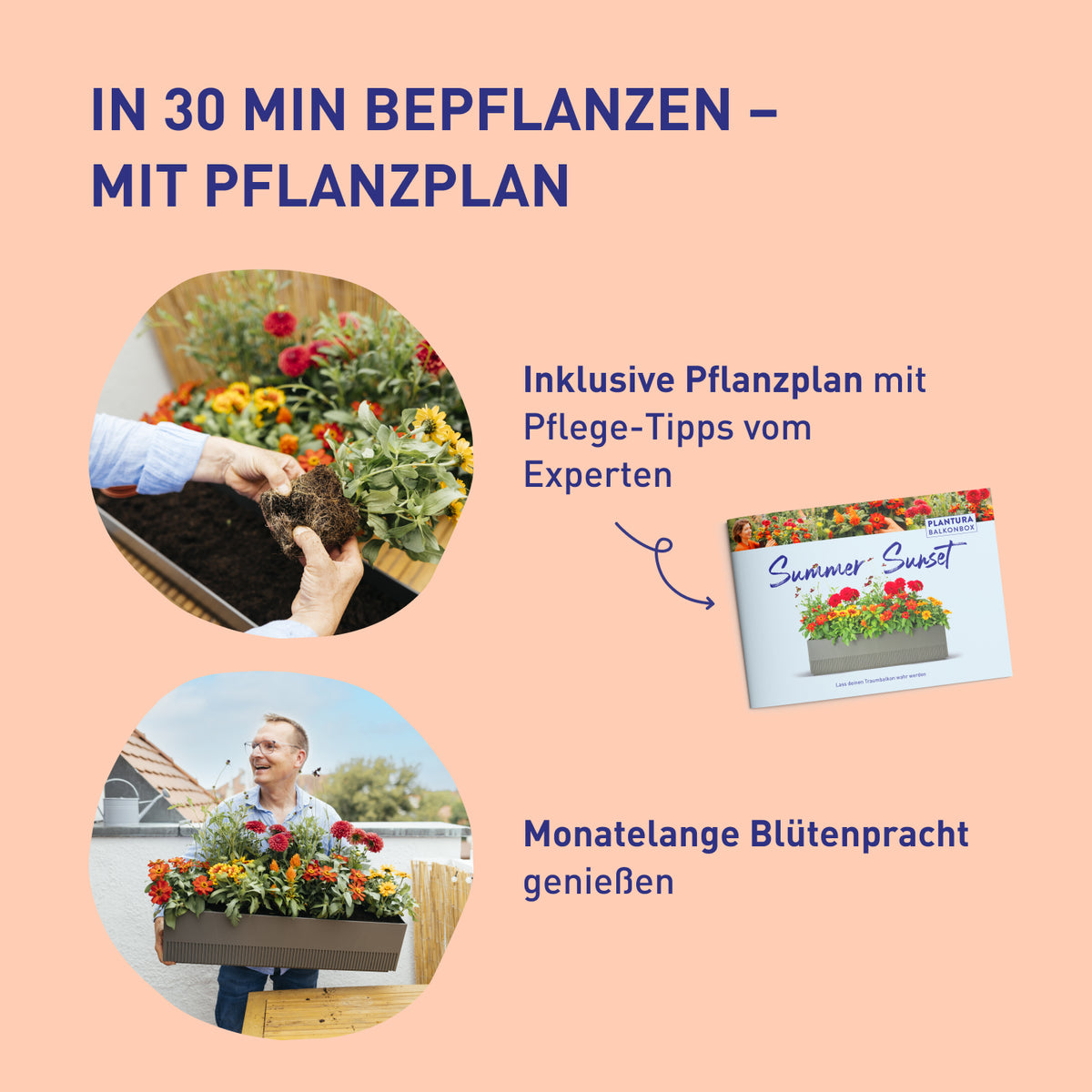 Balkonbox Spring Breeze zum Selbstbepflanzen