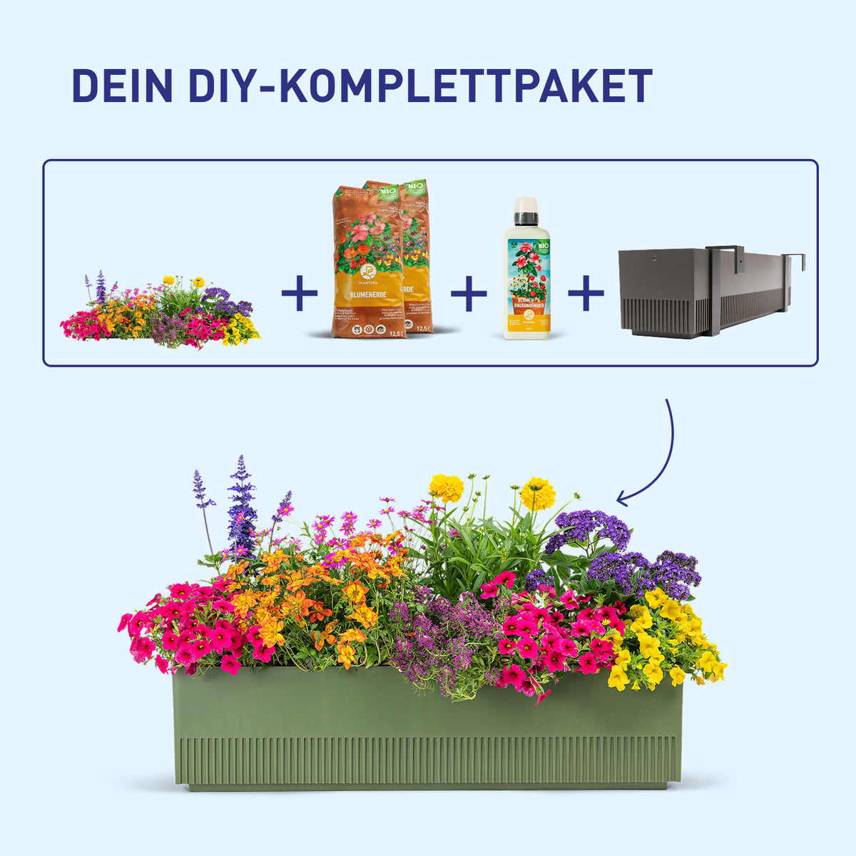 Balkonkasten Flower Power als DIY-Komplettset