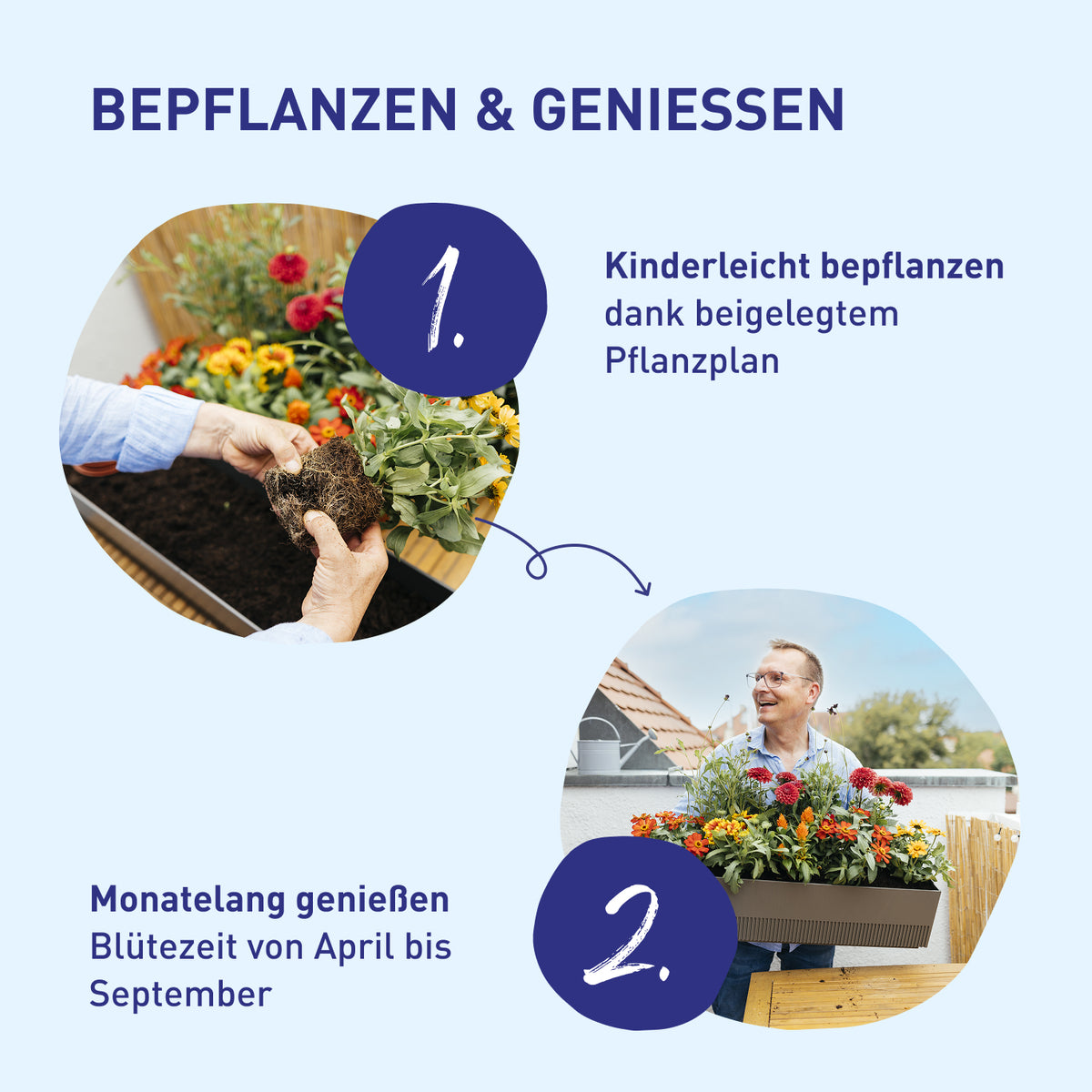 Balkonkasten Flower Power zum Selbstbepflanzen