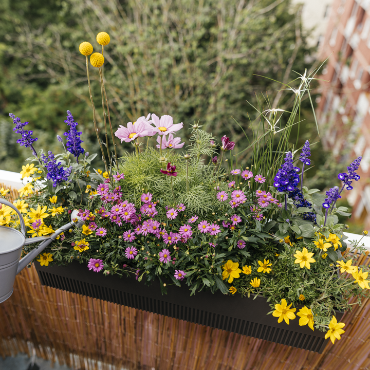 Balkonkasten Set Flower Power