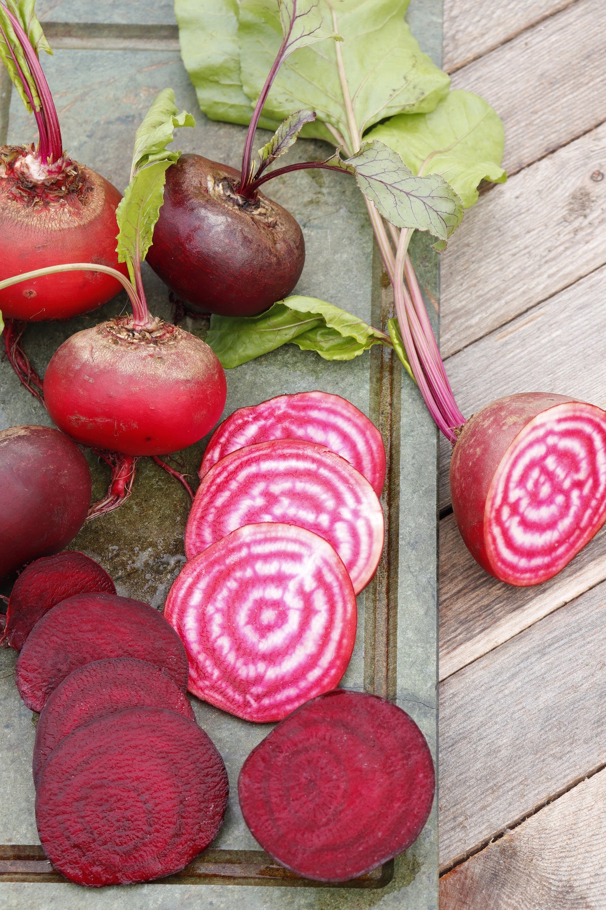 Beta vulgaris var. conditiva