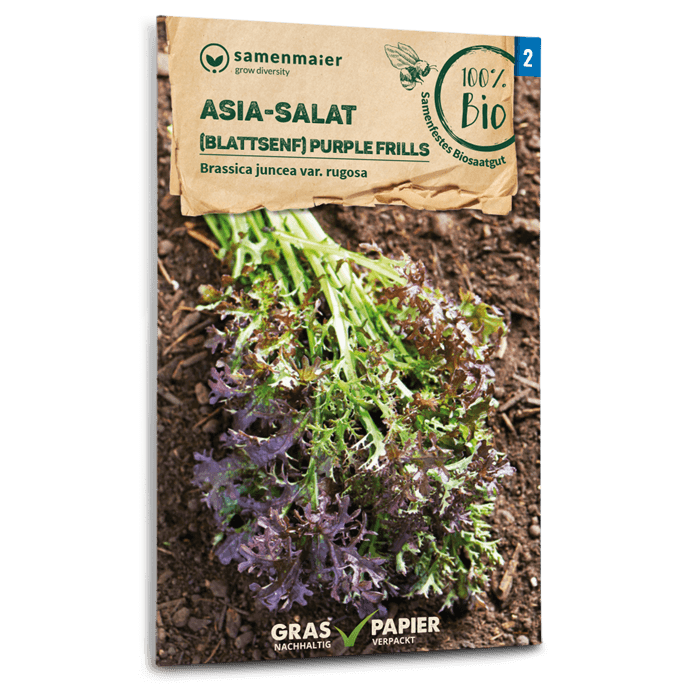 Bio-Asia-Salat 'Purple Frills' Samen