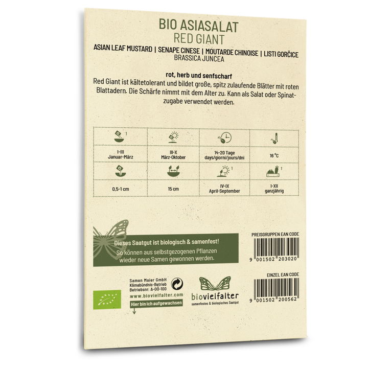Bio-Asia-Salat 'Red Giant' Saatgut