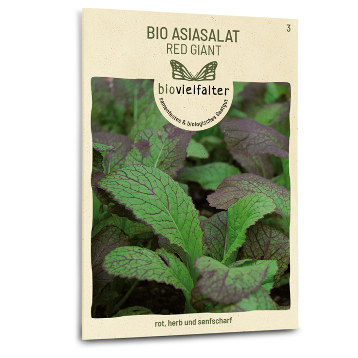 Bio-Asia-Salat 'Red Giant' Samen
