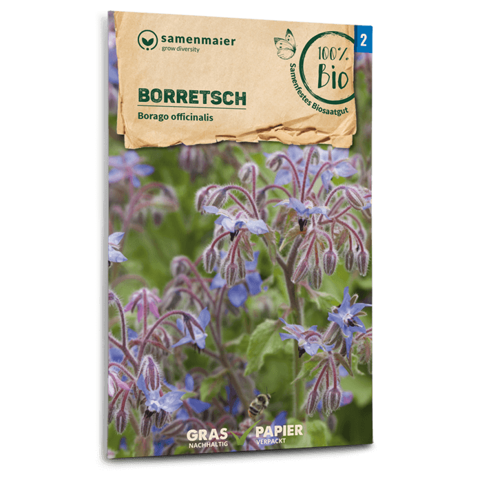 Bio-Borretsch Samen