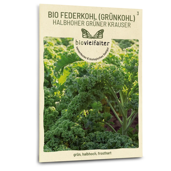 Bio-Grünkohl 'Halbhoher Grüner Krauser'