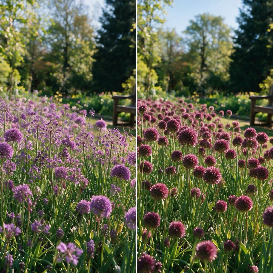 Blumenzwiebel-Mix 'Late Spring Meadow'
