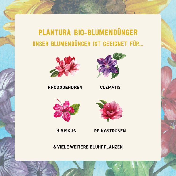 Bio-Dünger für Blühpflanzen