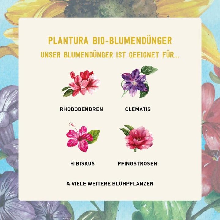 Bio-Dünger für Blühpflanzen