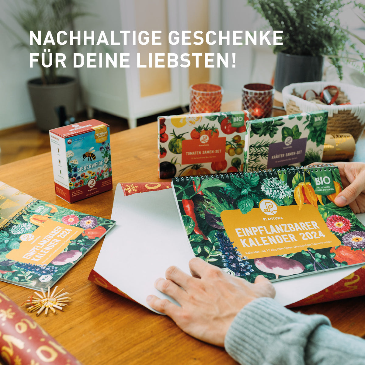 Saatgut Geschenk-Set