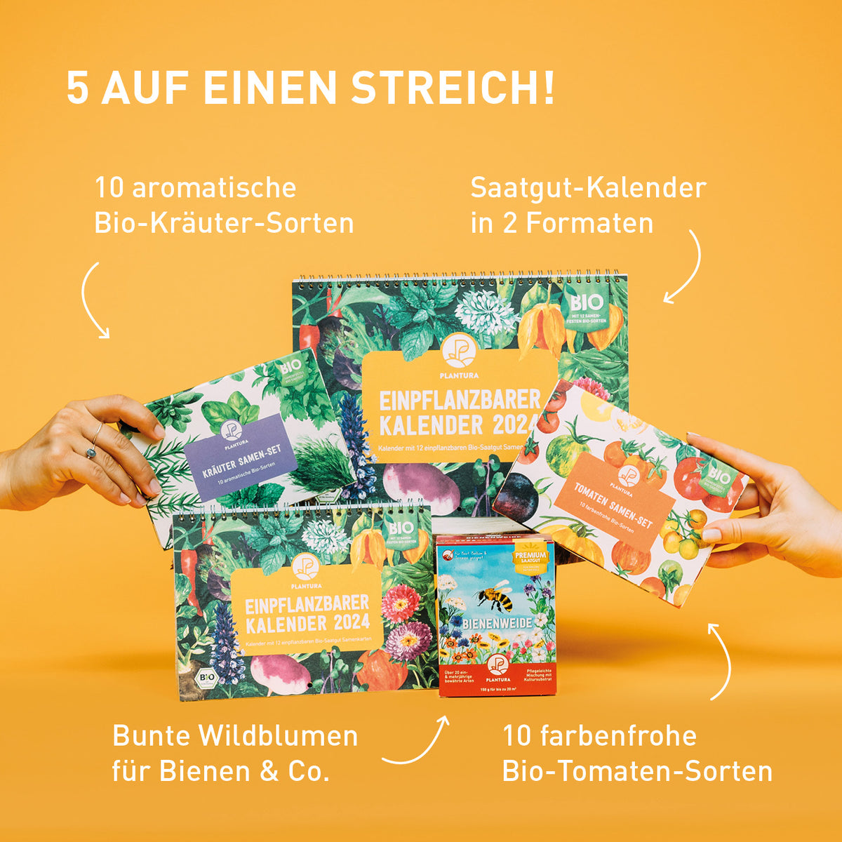 Saatgut Geschenk-Set