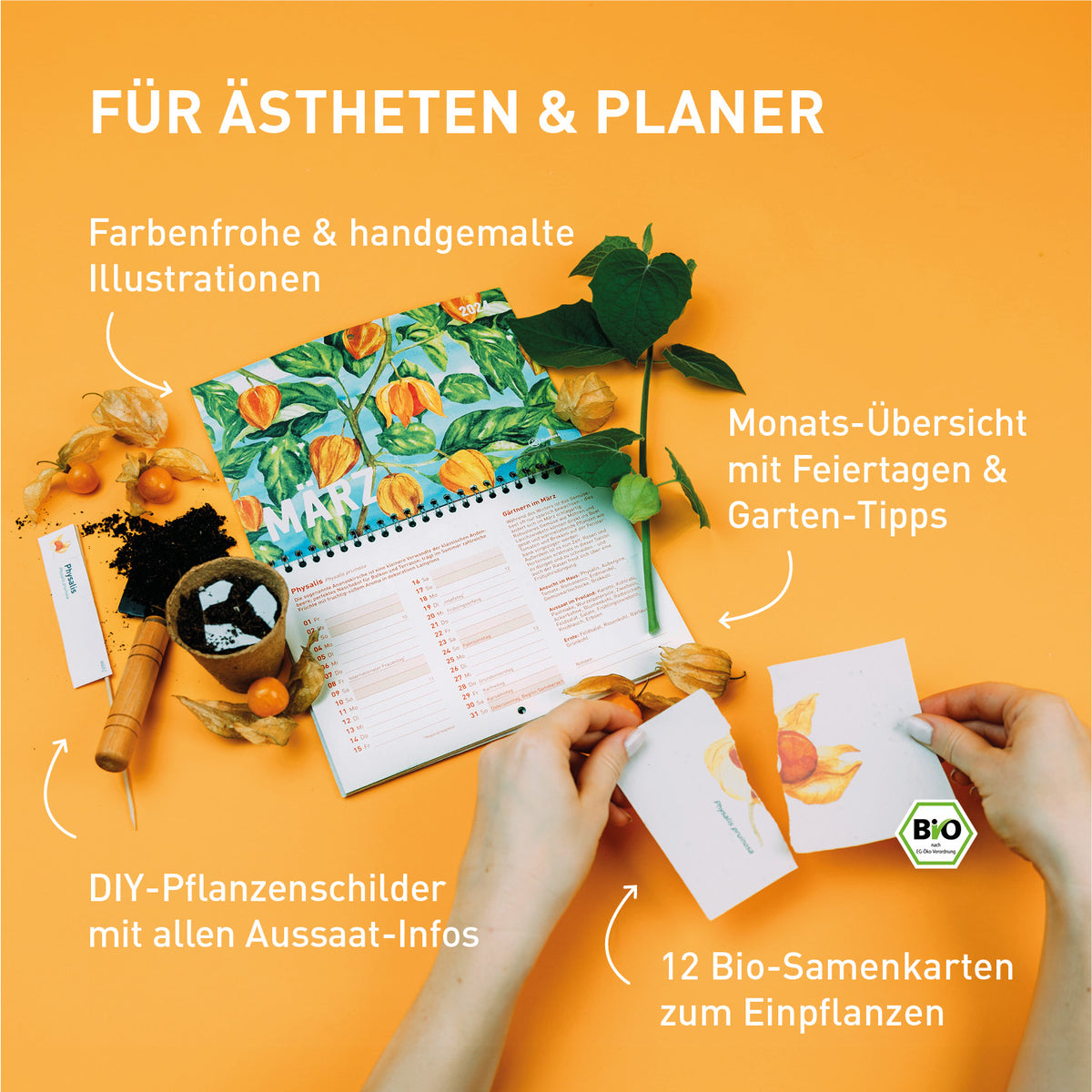 Saatgut Geschenk-Set