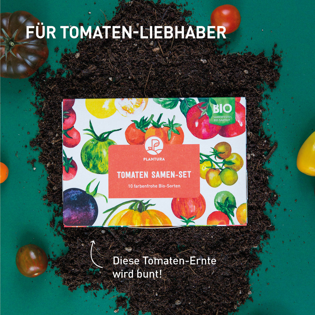 Saatgut Geschenk-Set
