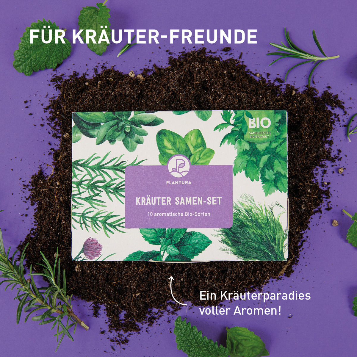 Saatgut Geschenk-Set