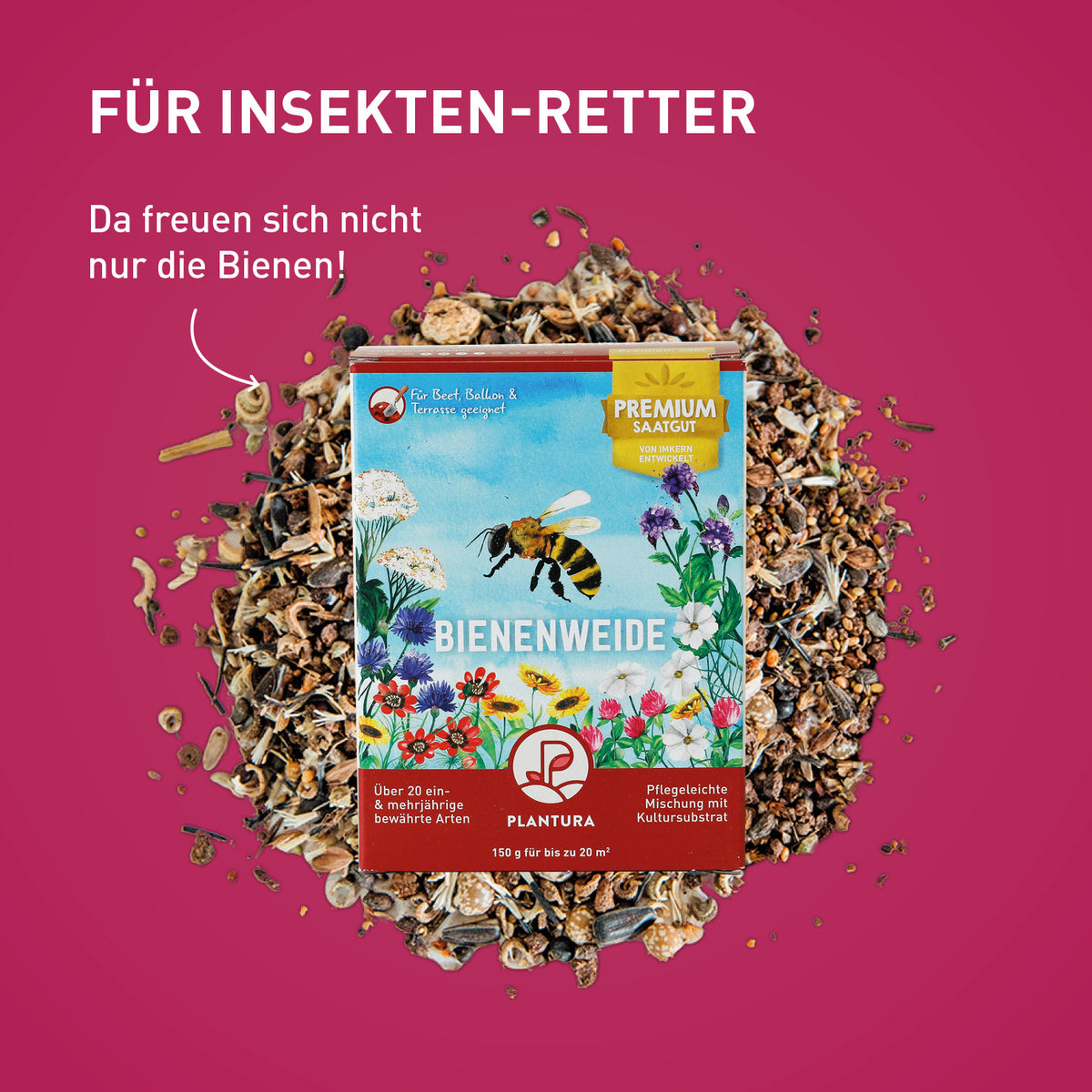 Saatgut Geschenk-Set