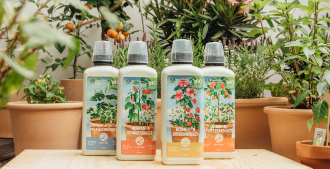 Umweltfreundlich verpackt