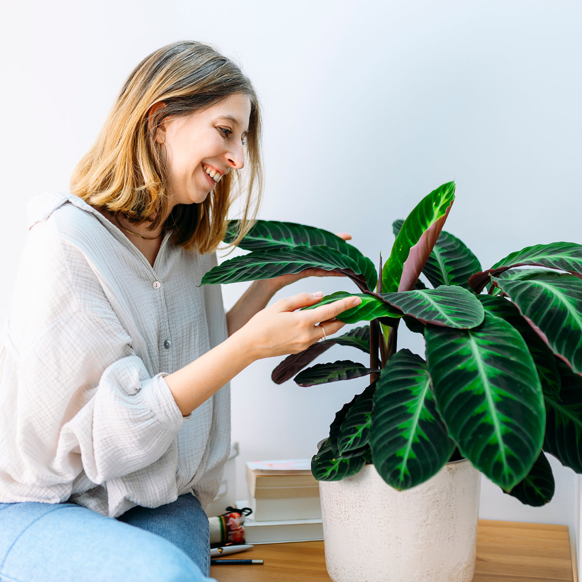 Frau mit Calathea warscewiczii als Zimmerpflanze
