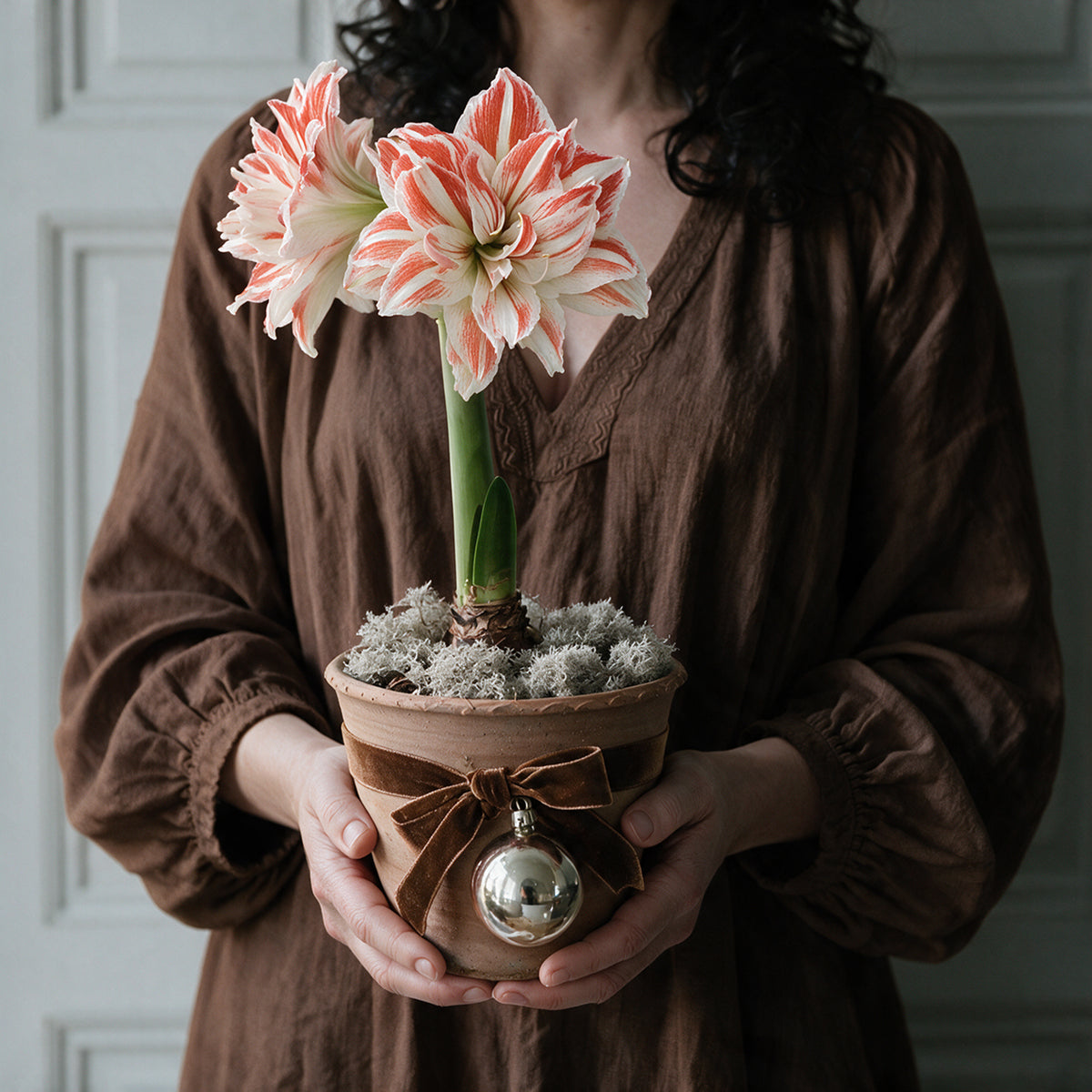 gefüllte Amaryllis Dancing Queen als elegante Tischdekoration auf einem festlich gedeckten Esstisch