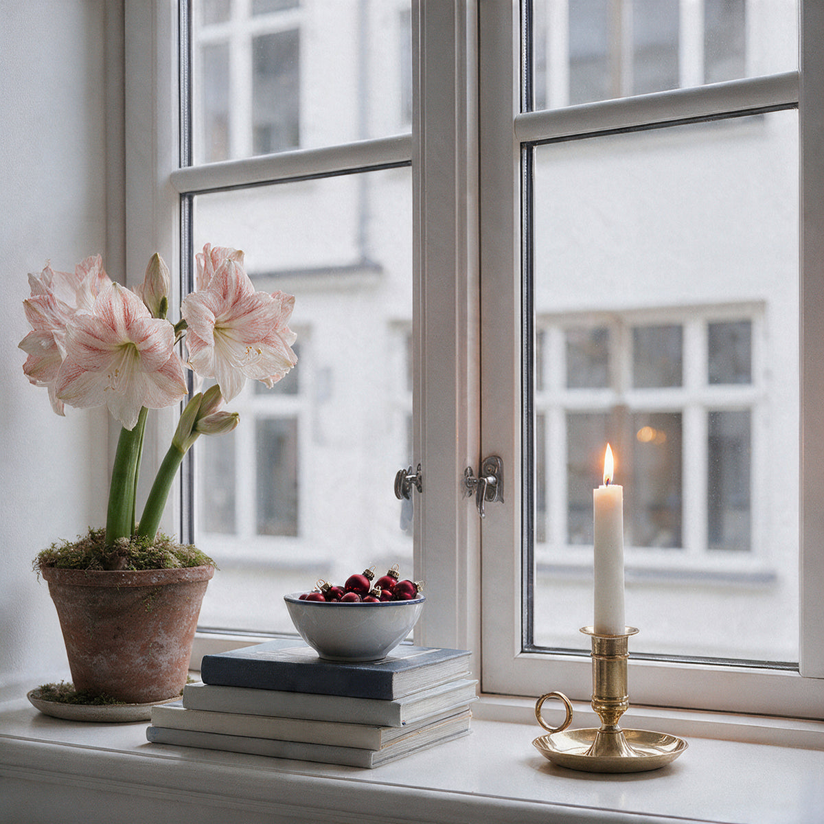 Gefüllte Amaryllis White Amadeus als stilvolle Tischdekoration neben Kerzen