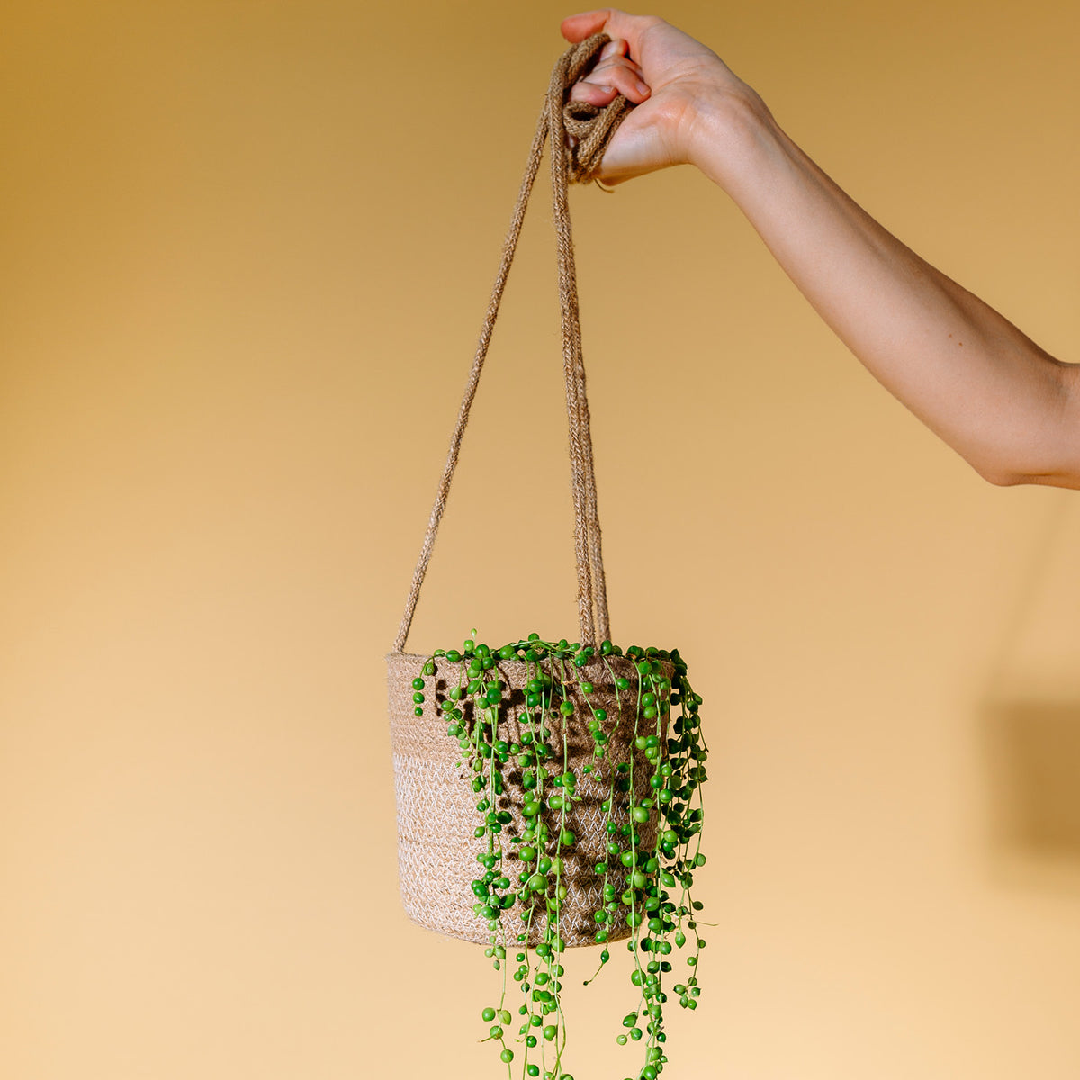 Jute Hängetopf mit Erbsenpflanze
