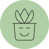 Test Product Webhook Tessa