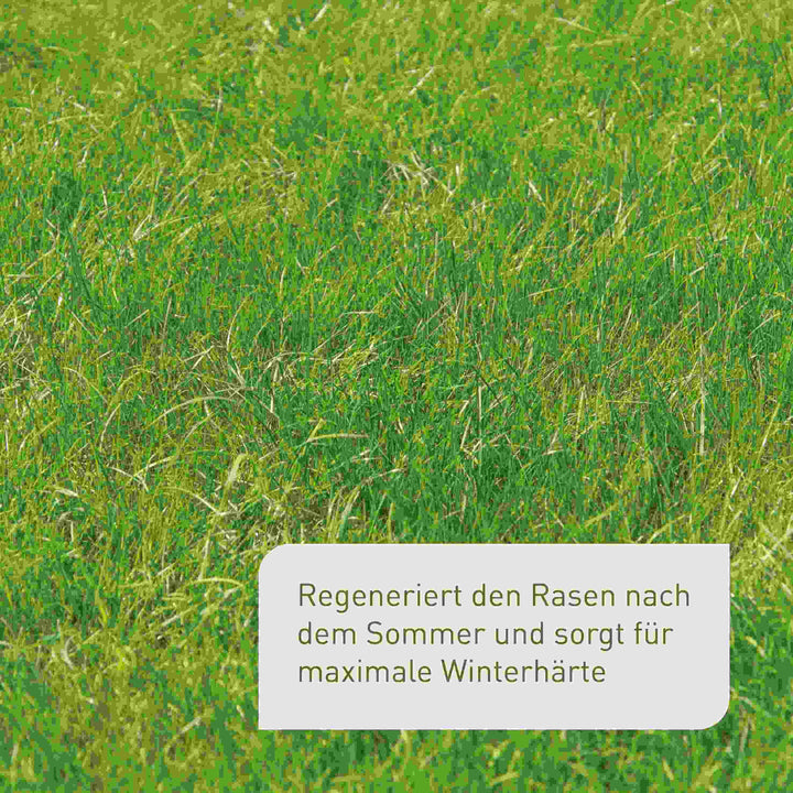 Bio-Herbstrasendünger 10,5 kg (Sack)