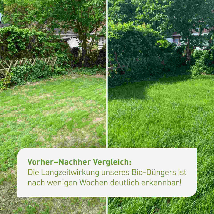 Bio-Herbstrasendünger 10,5 kg (Sack)