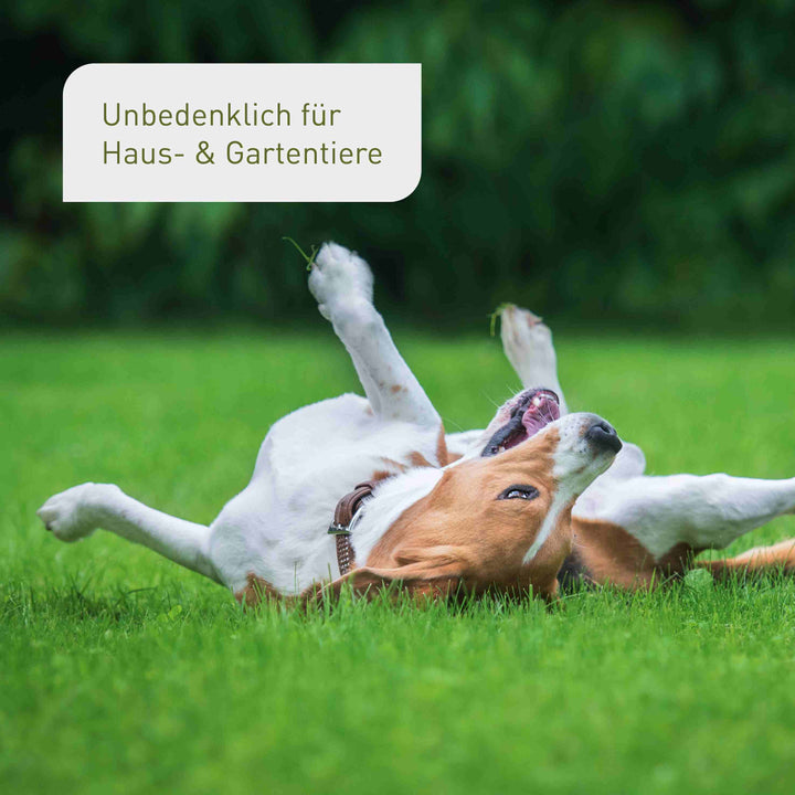 Bio-Herbstrasendünger 10,5 kg (Sack)