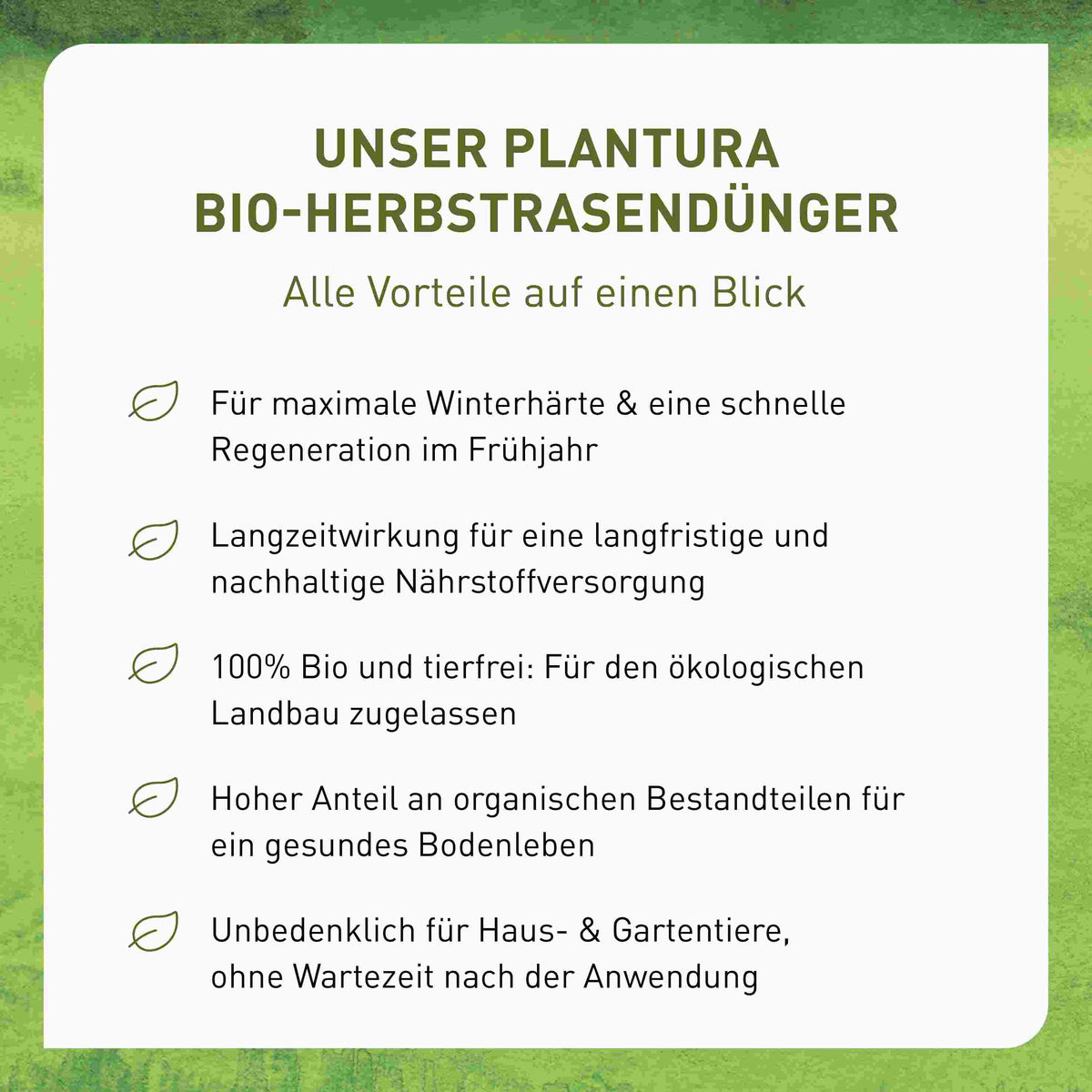 Bio-Herbstrasendünger 10,5 kg (Sack)