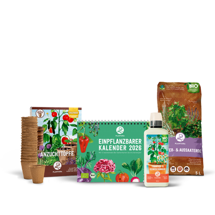 Kalender Geschenk-Set