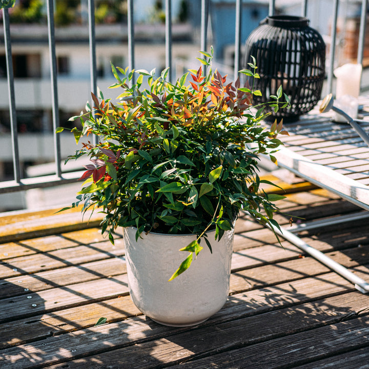 Keramik Blumentopf Sand auf Balkon