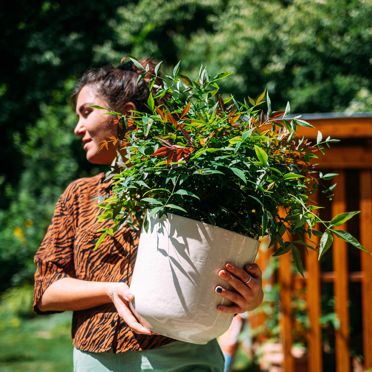 Frau hält Keramik Blumentopf Sand mit Pflanze