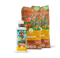 Einpflanzen & Pflege für dein Balkonbox