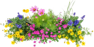 Balkonbox ‘Happy bee’