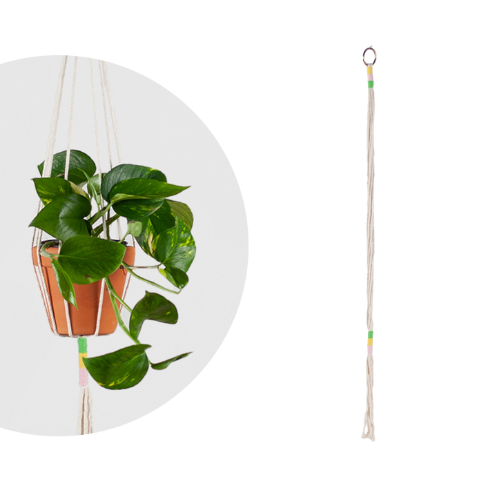 Makramee Blumenampel für Zimmerpflanzen